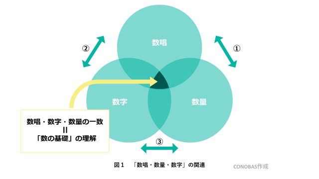 3 6歳 子どもはいつから数や数字を理解するの 発達段階に沿ってわかりやすく解説