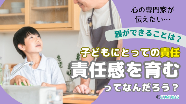 image-24071